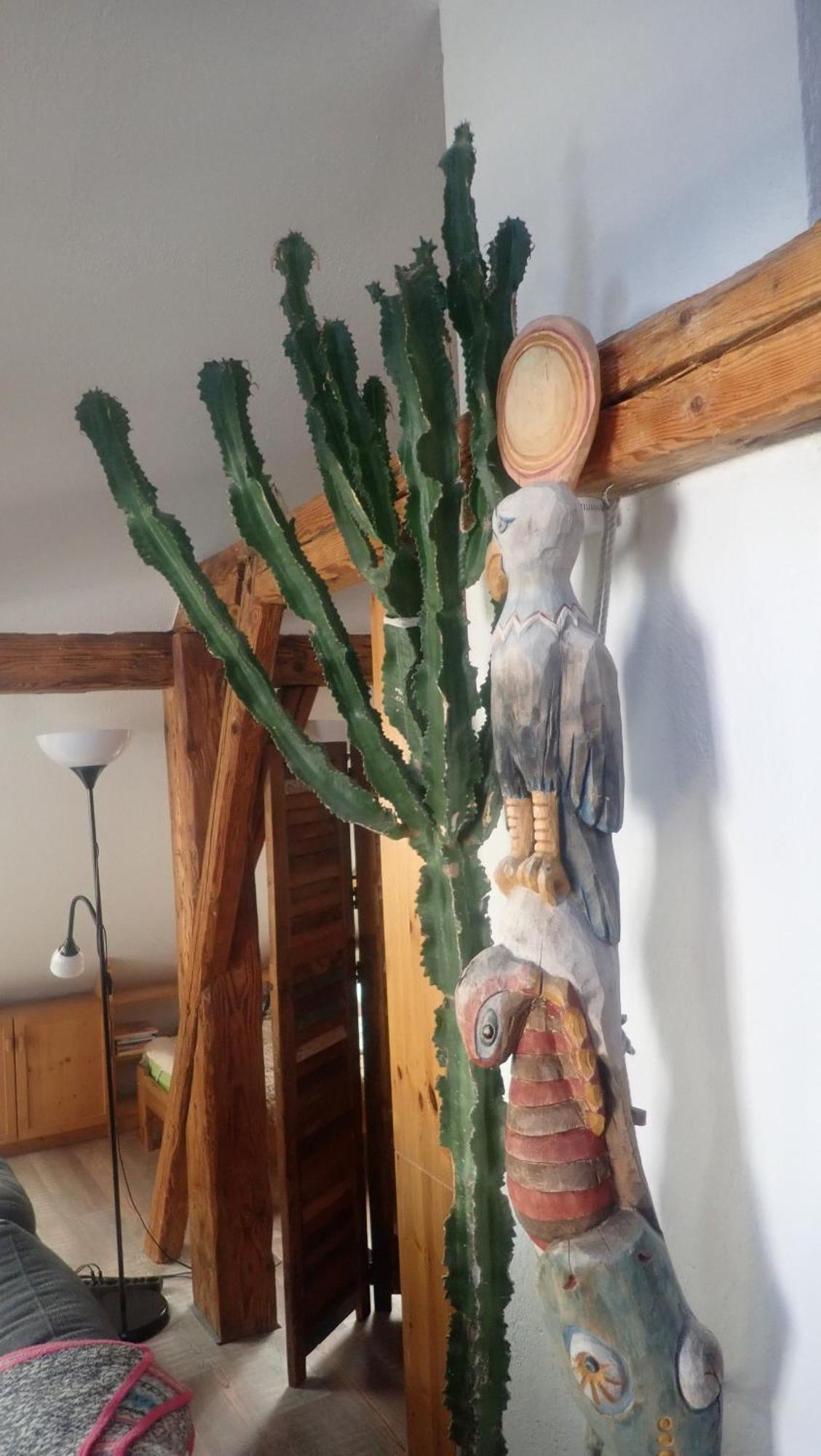 Appartement Im Juchhe à Peiting Extérieur photo